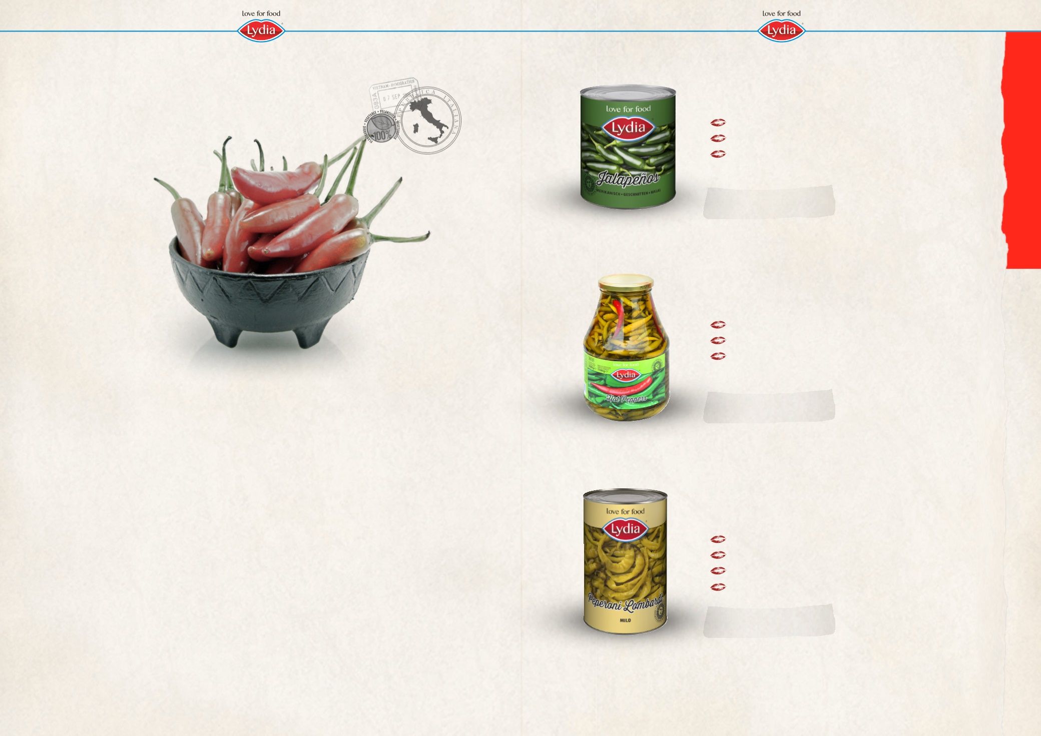 Page Background