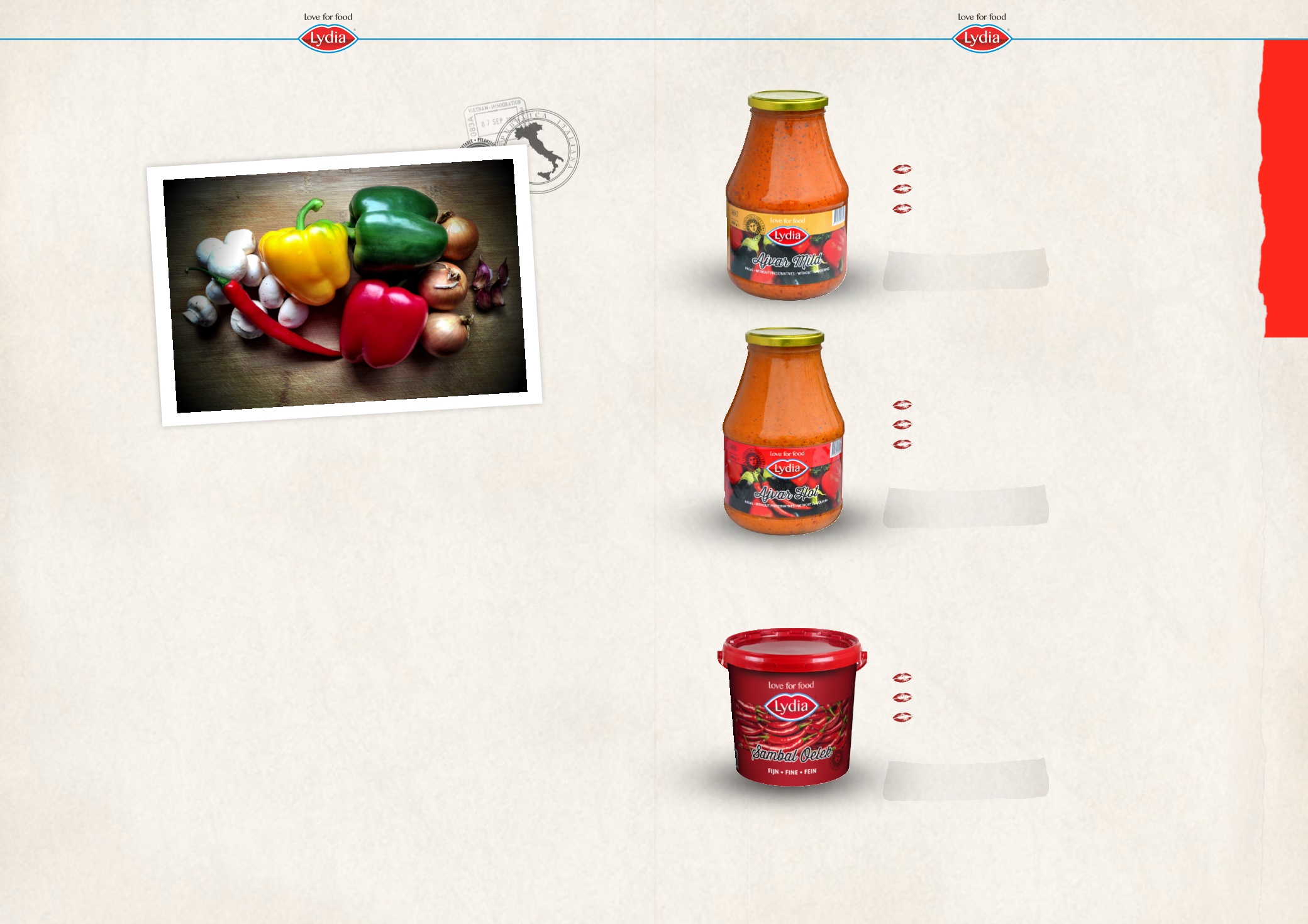 Page Background